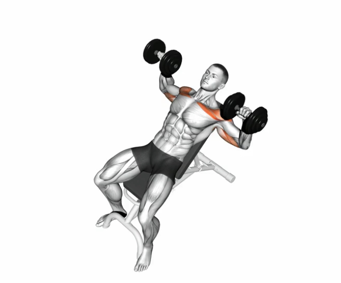 Incline Bench Press Dumbbell Exercises Fitness From Zero Incline Bench Press Dumbbell Exercises Fitness From Zero